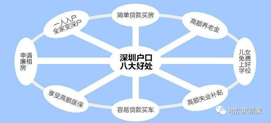 深圳本科學(xué)歷辦理條件及入戶資格