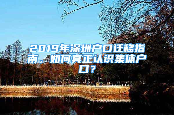 2019年深圳戶口遷移指南，如何真正認識集體戶口？