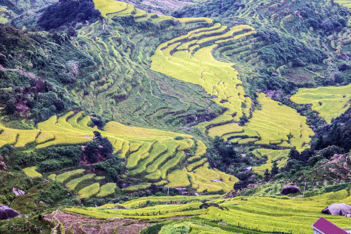 農(nóng)村戶口好，還是城鎮(zhèn)戶口強：風(fēng)水輪流轉(zhuǎn)的戶口