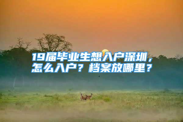 19屆畢業(yè)生想入戶深圳，怎么入戶？檔案放哪里？