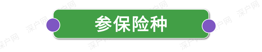 新政執(zhí)行！非深戶也能自己交醫(yī)保！網(wǎng)上就能辦