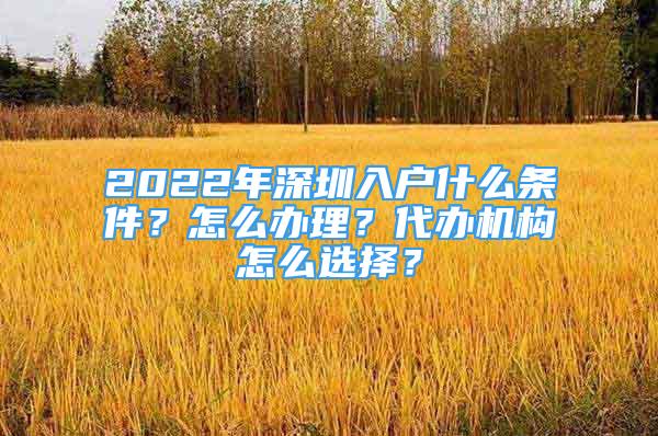 2022年深圳入戶什么條件？怎么辦理？代辦機(jī)構(gòu)怎么選擇？