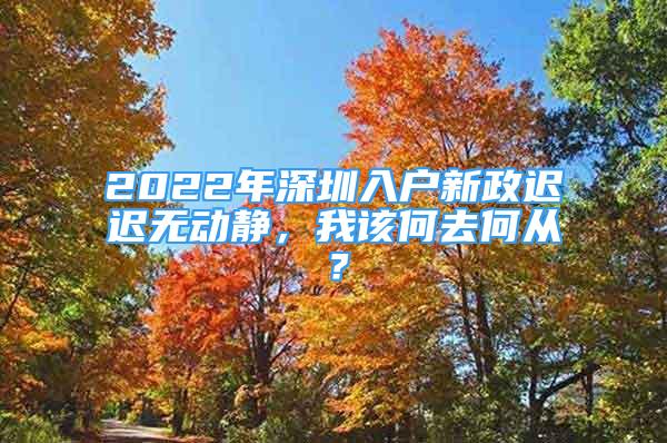 2022年深圳入戶新政遲遲無動靜，我該何去何從？