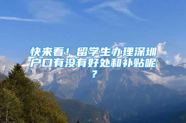 快來看！留學(xué)生辦理深圳戶口有沒有好處和補(bǔ)貼呢？