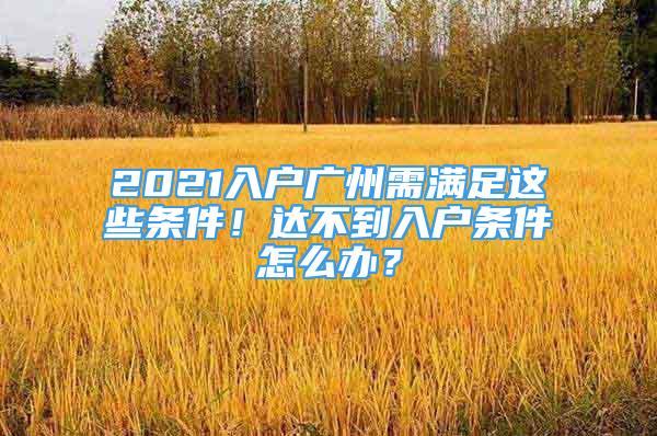 2021入戶廣州需滿足這些條件！達不到入戶條件怎么辦？