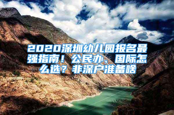 2020深圳幼兒園報(bào)名最強(qiáng)指南！公民辦、國(guó)際怎么選？非深戶準(zhǔn)備啥