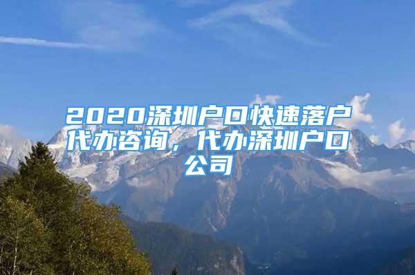 2020深圳戶(hù)口快速落戶(hù)代辦咨詢(xún)，代辦深圳戶(hù)口公司