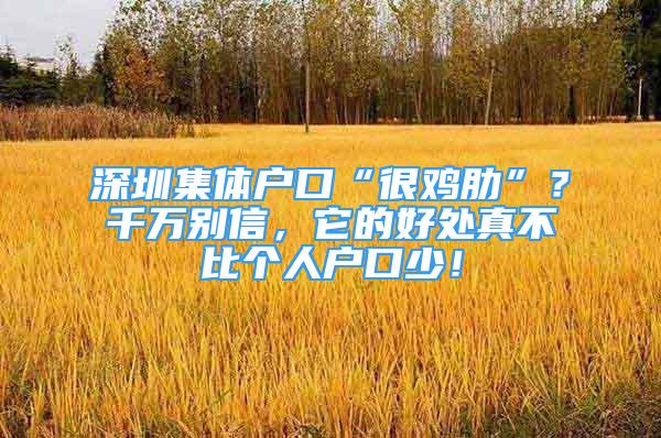 深圳集體戶口“很雞肋”？千萬別信，它的好處真不比個人戶口少！