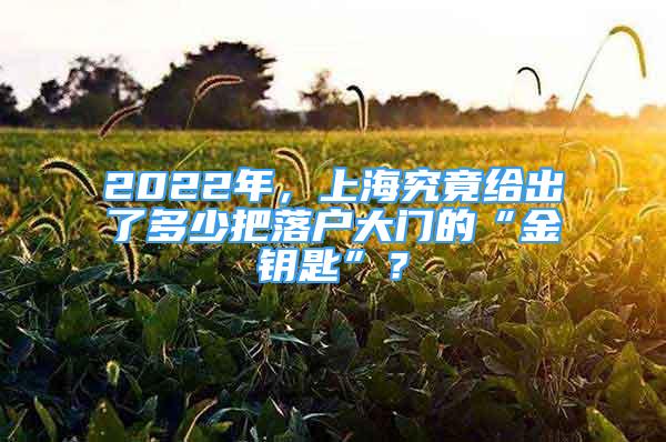 2022年，上海究竟給出了多少把落戶大門的“金鑰匙”？