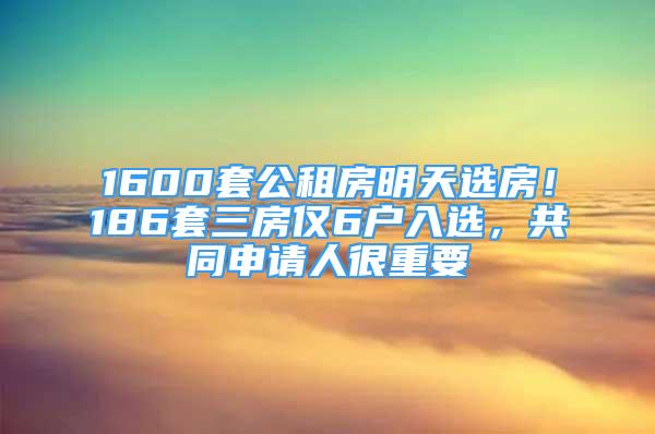 1600套公租房明天選房！186套三房僅6戶入選，共同申請人很重要