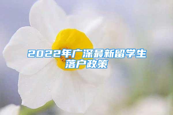 2022年廣深最新留學(xué)生落戶政策