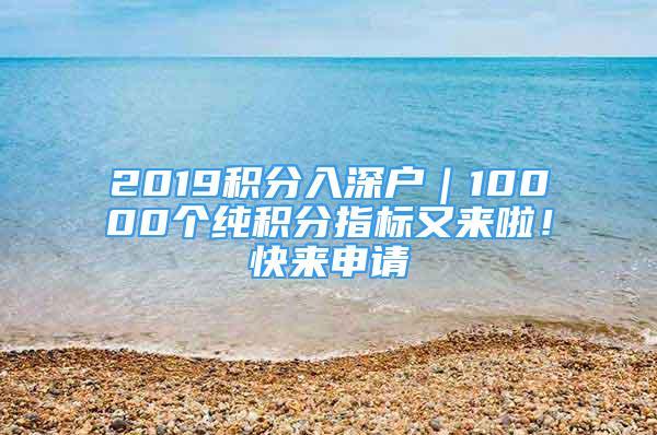 2019積分入深戶｜10000個純積分指標又來啦！快來申請