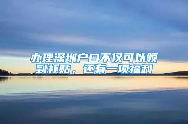 辦理深圳戶口不僅可以領(lǐng)到補(bǔ)貼，還有一項(xiàng)福利