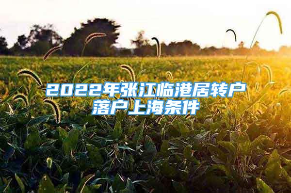 2022年張江臨港居轉(zhuǎn)戶落戶上海條件