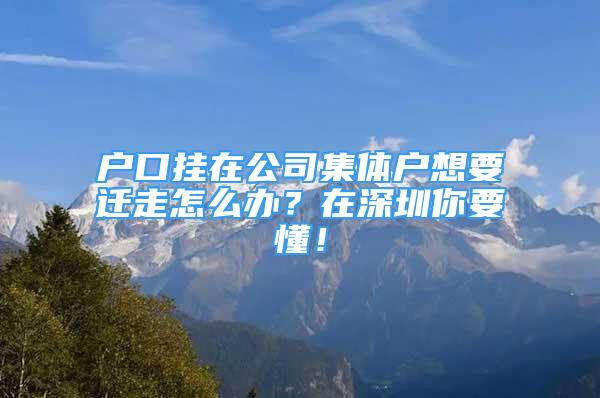 戶口掛在公司集體戶想要遷走怎么辦？在深圳你要懂！