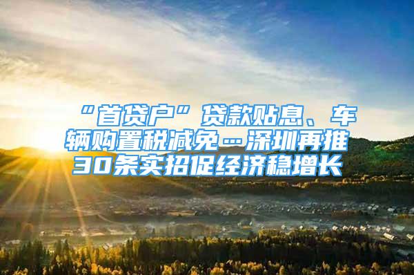 “首貸戶”貸款貼息、車輛購(gòu)置稅減免…深圳再推30條實(shí)招促經(jīng)濟(jì)穩(wěn)增長(zhǎng)