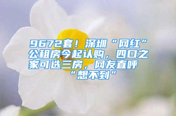 9672套！深圳“網(wǎng)紅”公租房今起認(rèn)購(gòu)，四口之家可選三房，網(wǎng)友直呼“想不到”