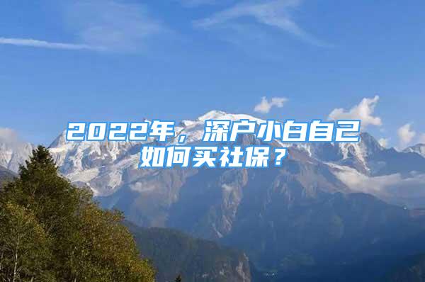 2022年，深戶小白自己如何買社保？