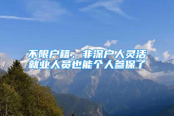 不限戶籍，非深戶人靈活就業(yè)人員也能個(gè)人參保了