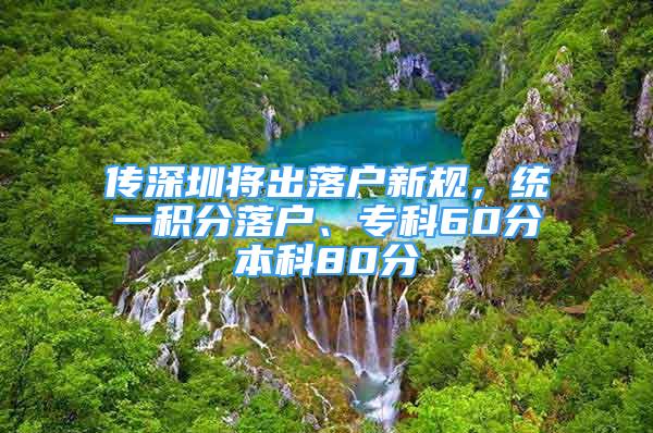 傳深圳將出落戶新規(guī)，統(tǒng)一積分落戶、?？?0分本科80分