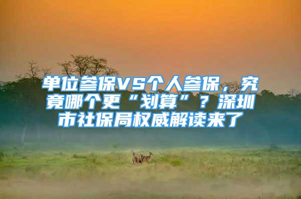 單位參保VS個(gè)人參保，究竟哪個(gè)更“劃算”？深圳市社保局權(quán)威解讀來(lái)了