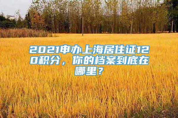 2021申辦上海居住證120積分，你的檔案到底在哪里？