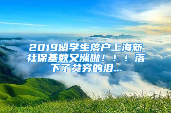 2019留學(xué)生落戶上海新社?；鶖?shù)又漲啦?。?！落下了貧窮的淚...