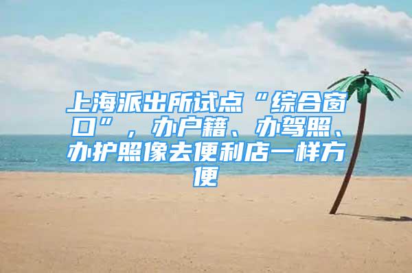 上海派出所試點(diǎn)“綜合窗口”，辦戶籍、辦駕照、辦護(hù)照像去便利店一樣方便