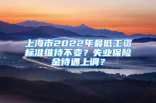 上海市2022年最低工資標(biāo)準(zhǔn)維持不變？失業(yè)保險金待遇上調(diào)？