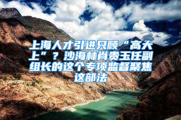 上海人才引進(jìn)只顧“高大上”？沙海林肖貴玉任副組長的這個專項監(jiān)督聚焦這部法