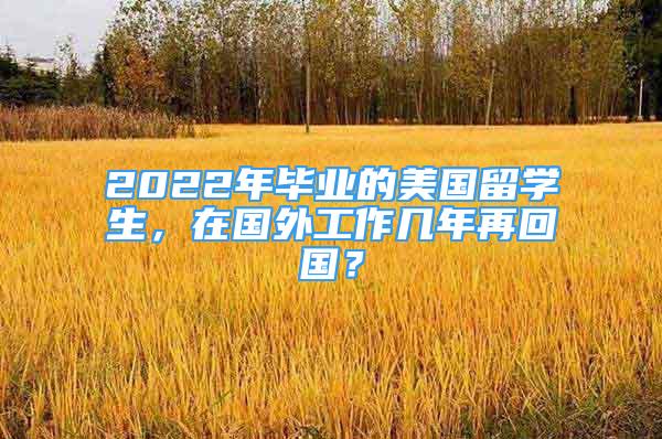 2022年畢業(yè)的美國留學(xué)生，在國外工作幾年再回國？