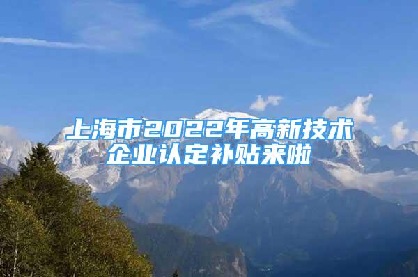 上海市2022年高新技術(shù)企業(yè)認(rèn)定補(bǔ)貼來啦