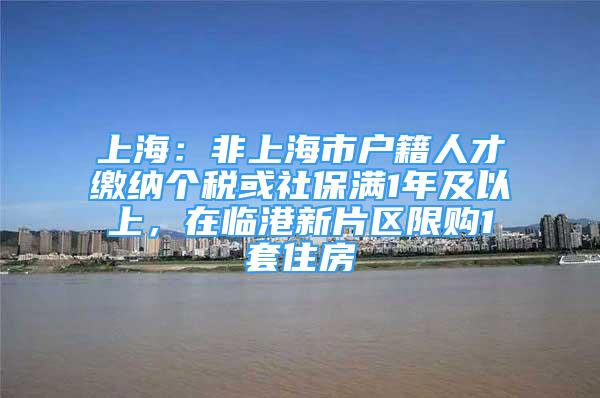 上海：非上海市戶籍人才繳納個(gè)稅或社保滿1年及以上，在臨港新片區(qū)限購1套住房