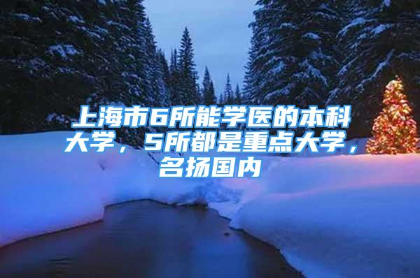 上海市6所能學醫(yī)的本科大學，5所都是重點大學，名揚國內(nèi)