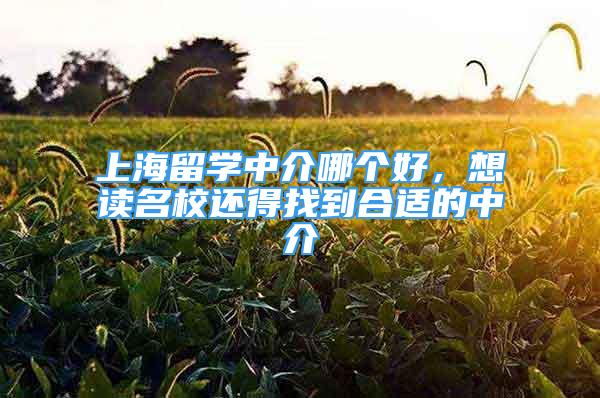 上海留學(xué)中介哪個(gè)好，想讀名校還得找到合適的中介