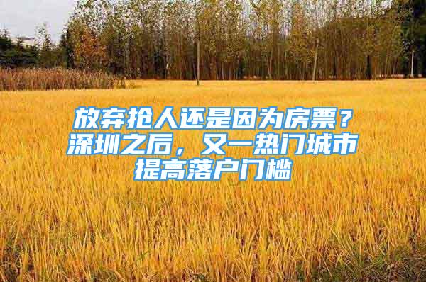 放棄搶人還是因為房票？深圳之后，又一熱門城市提高落戶門檻