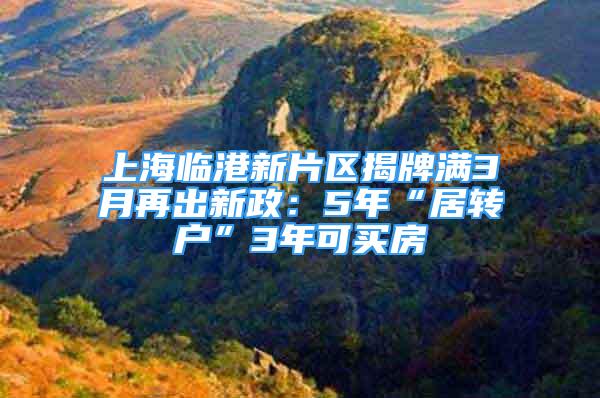 上海臨港新片區(qū)揭牌滿3月再出新政：5年“居轉(zhuǎn)戶”3年可買房