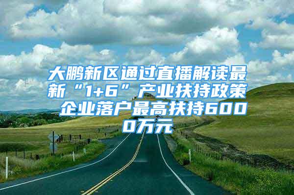 大鵬新區(qū)通過直播解讀最新“1+6”產(chǎn)業(yè)扶持政策 企業(yè)落戶最高扶持6000萬元