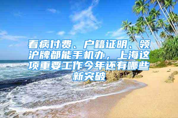 看病付費(fèi)、戶籍證明、領(lǐng)滬牌都能手機(jī)辦，上海這項(xiàng)重要工作今年還有哪些新突破