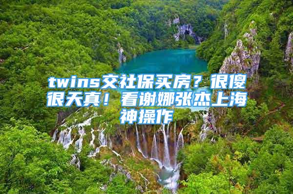 twins交社保買房？很傻很天真！看謝娜張杰上海神操作