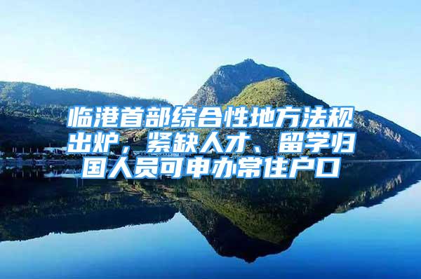 臨港首部綜合性地方法規(guī)出爐，緊缺人才、留學(xué)歸國(guó)人員可申辦常住戶口