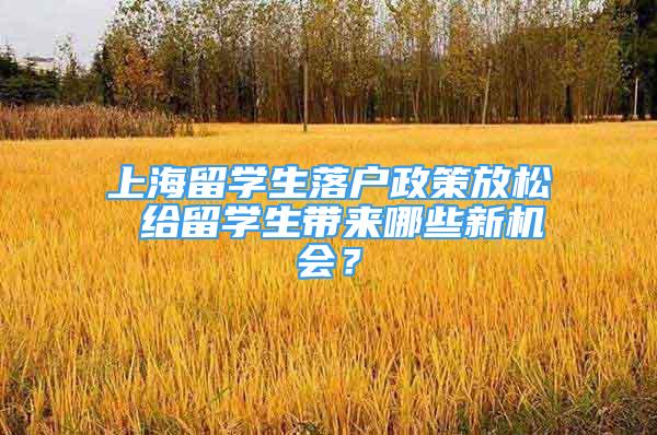 上海留學(xué)生落戶政策放松 給留學(xué)生帶來哪些新機(jī)會？