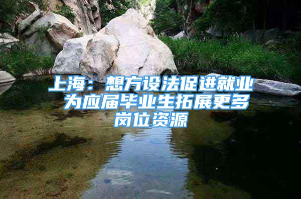 上海：想方設(shè)法促進就業(yè) 為應(yīng)屆畢業(yè)生拓展更多崗位資源