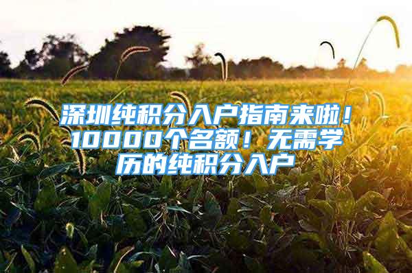 深圳純積分入戶指南來啦！10000個名額！無需學歷的純積分入戶