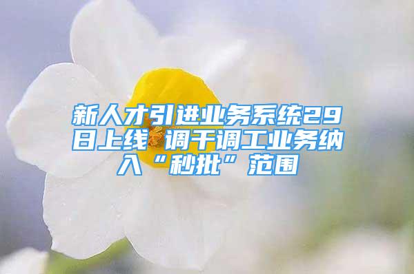 新人才引進業(yè)務系統(tǒng)29日上線 調(diào)干調(diào)工業(yè)務納入“秒批”范圍