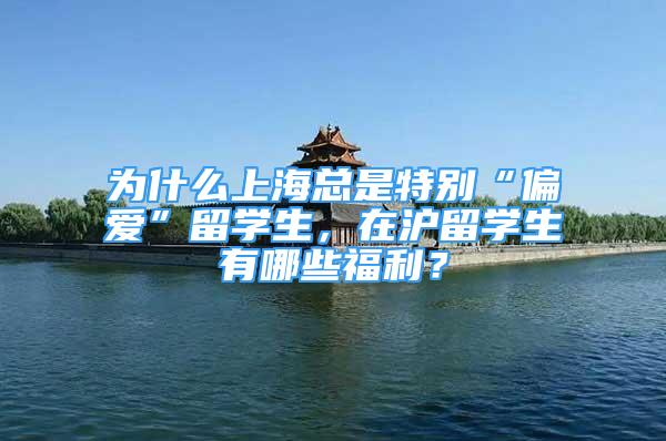 為什么上?？偸翘貏e“偏愛”留學(xué)生，在滬留學(xué)生有哪些福利？