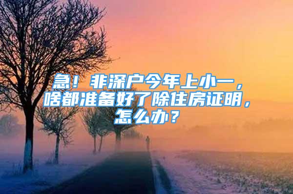 急！非深戶今年上小一，啥都準(zhǔn)備好了除住房證明，怎么辦？