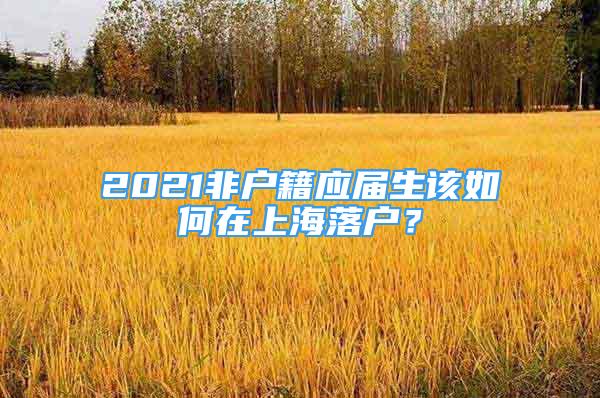 2021非戶籍應(yīng)屆生該如何在上海落戶？