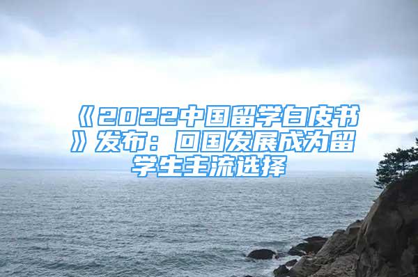 《2022中國(guó)留學(xué)白皮書(shū)》發(fā)布：回國(guó)發(fā)展成為留學(xué)生主流選擇