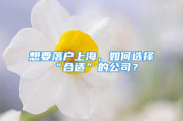 想要落戶上海，如何選擇“合適”的公司？